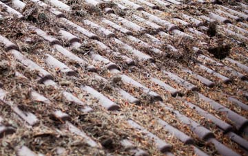 Stubbles roof cleaning companies