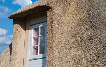 Stubbles thatch roof disadvantages